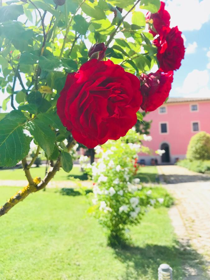Willa Antico Borgo De Romolini Sansepolcro Zewnętrze zdjęcie